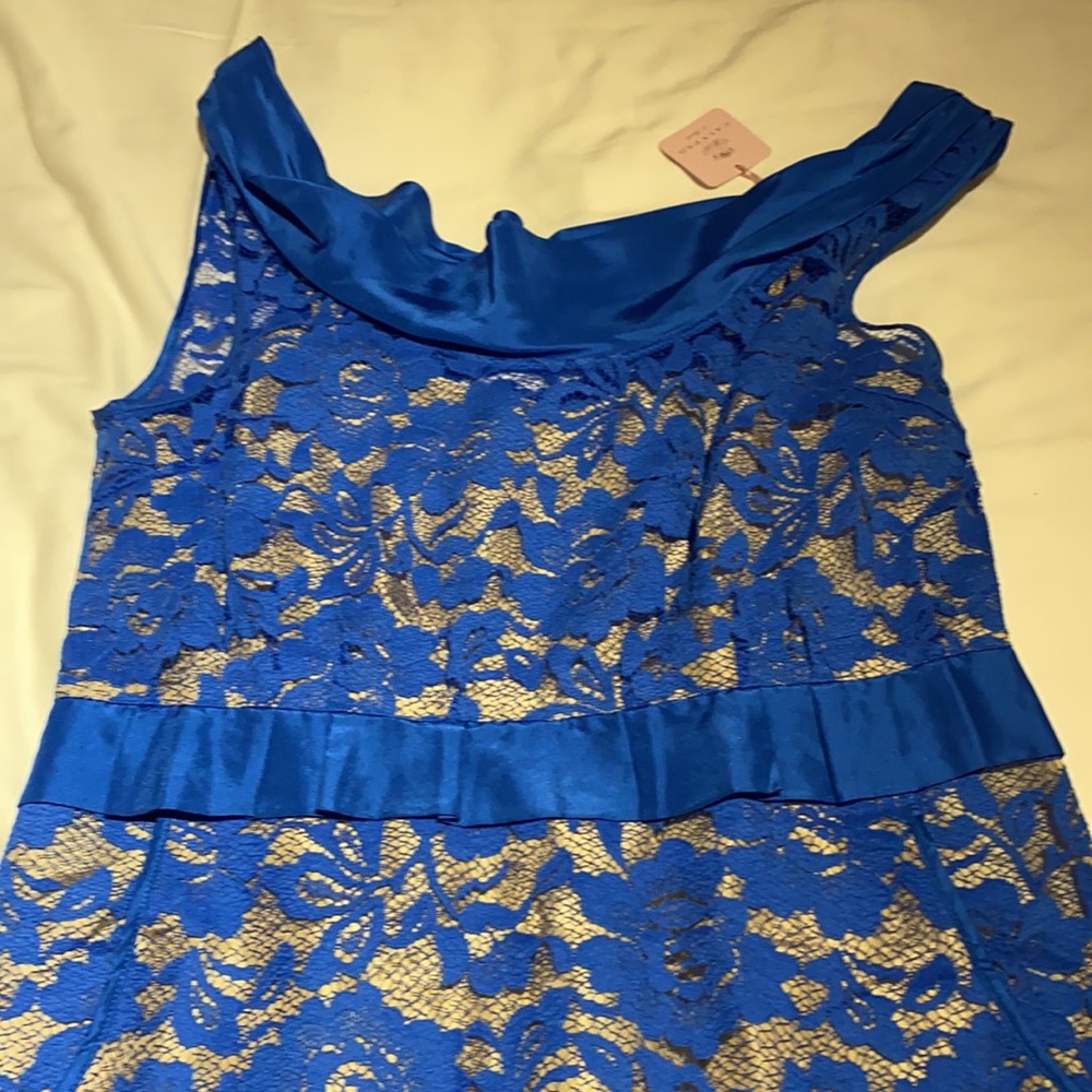 New with tag Calypso Lace dress
